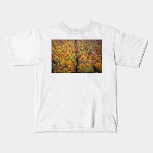 Aerial view of road through colorful autumn forest Kids T-Shirt